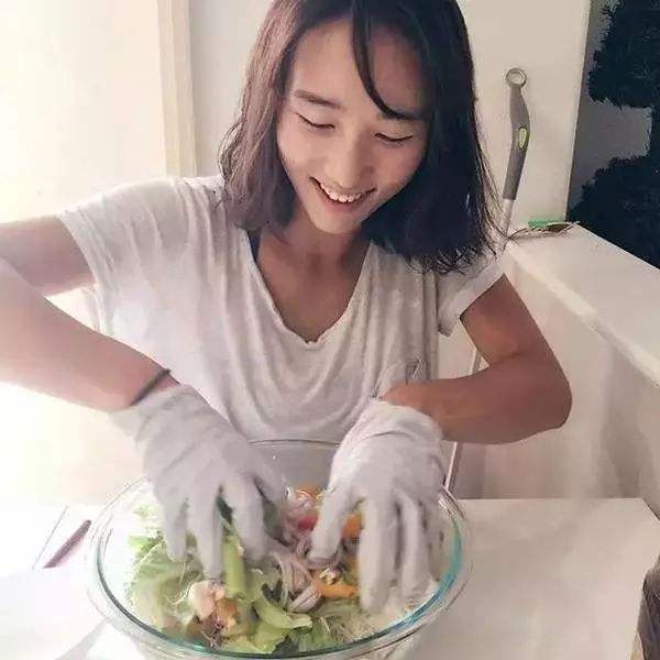 丛林鸟大冒险手游变态版下载